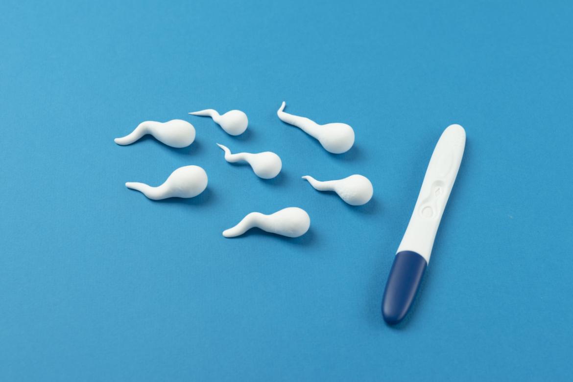 Spermiogram Test