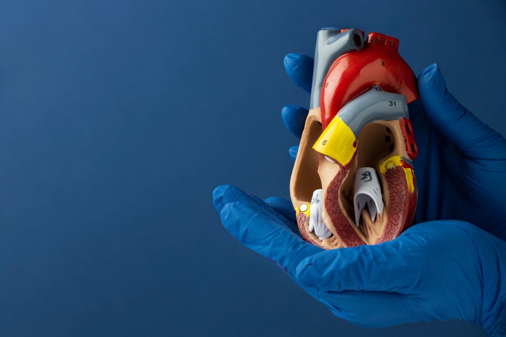 What is a Biliary Stent?