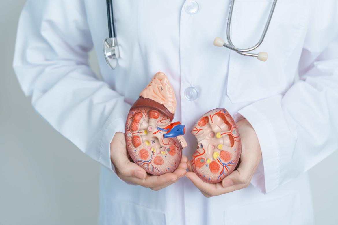 Urology
