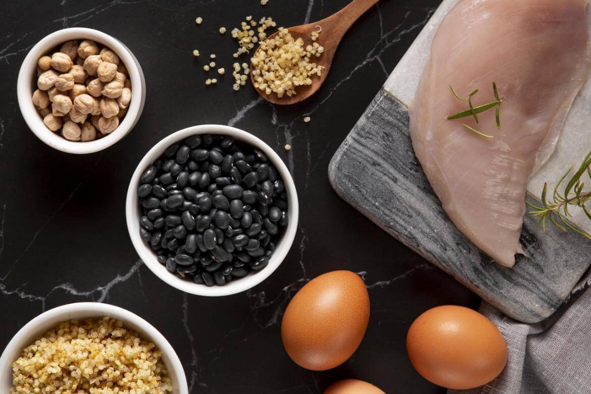 Protein: Its Functions and Importance
