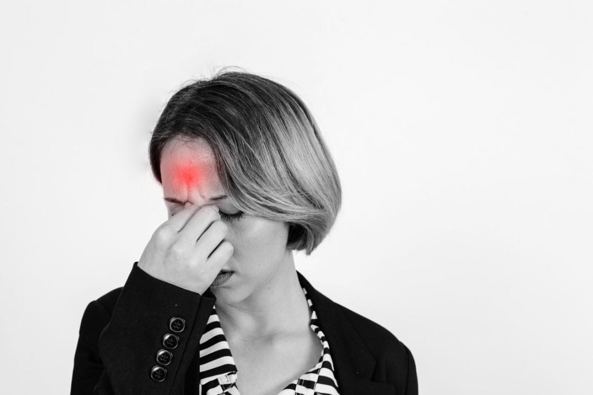What is the Amygdala? Its Functions and Importance