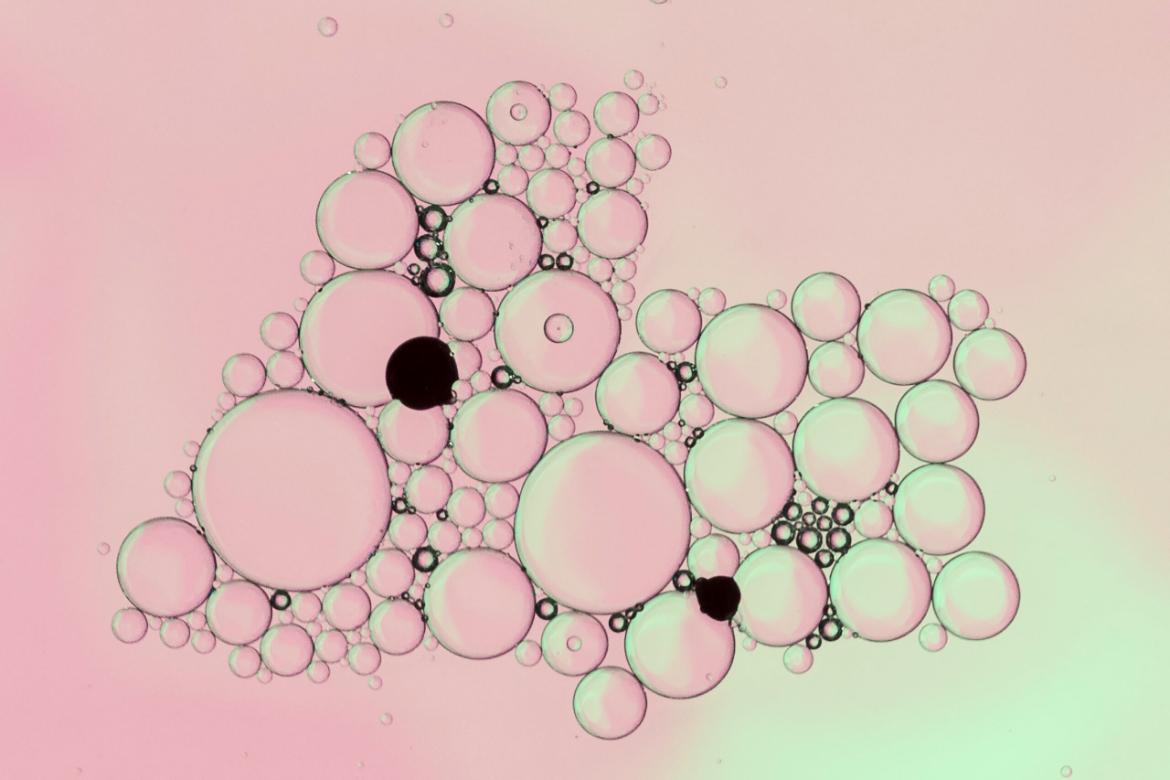 What is an Amino Acid? What is its Use?