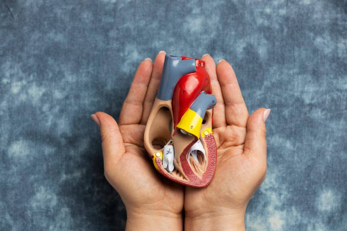 Articular Septal Defect (ASD)