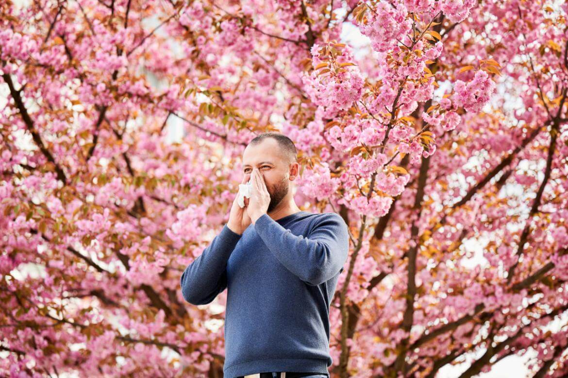 Spring Allergies - Pollen Allergy