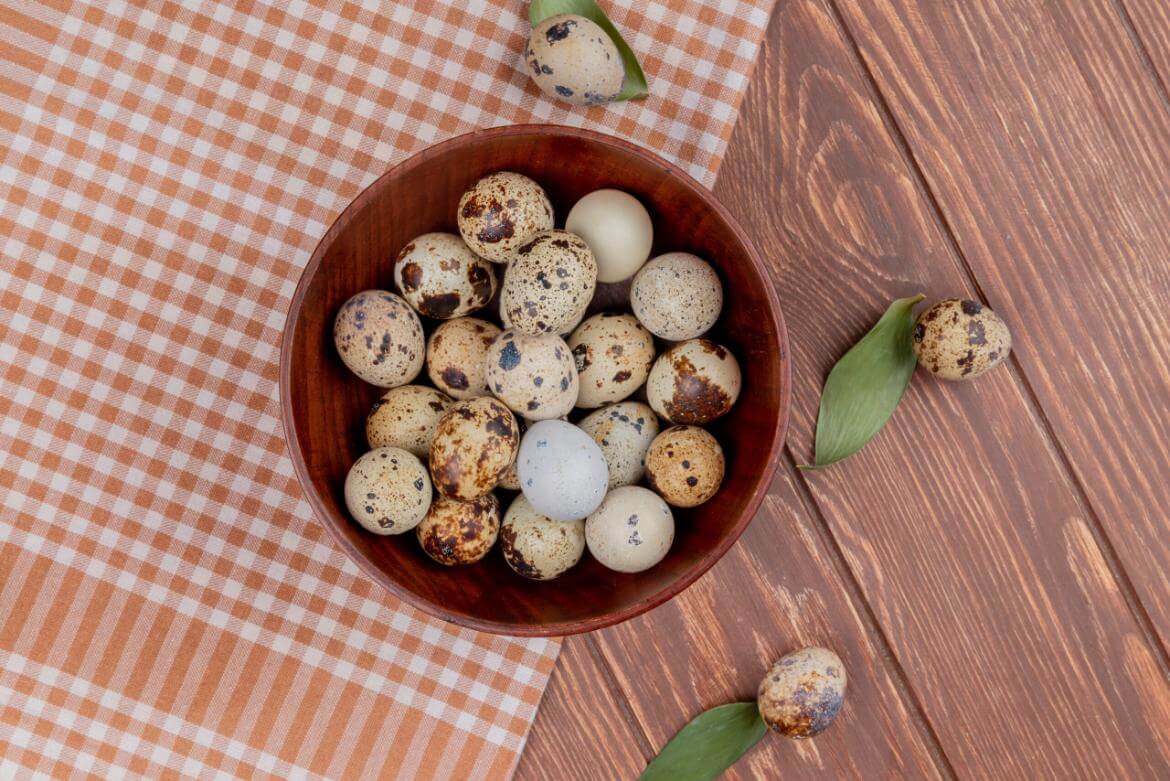 What are Quail Eggs? What are their Benefits? How are they Consumed?