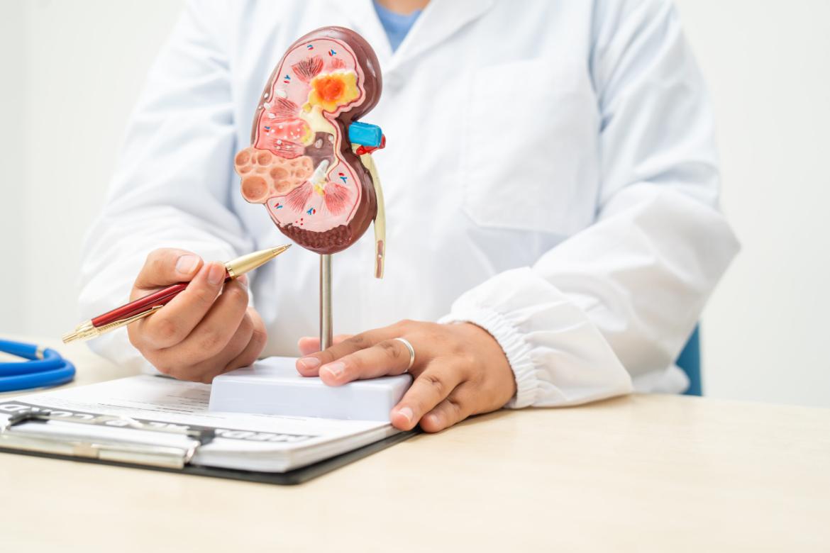 Kidney Biopsy
