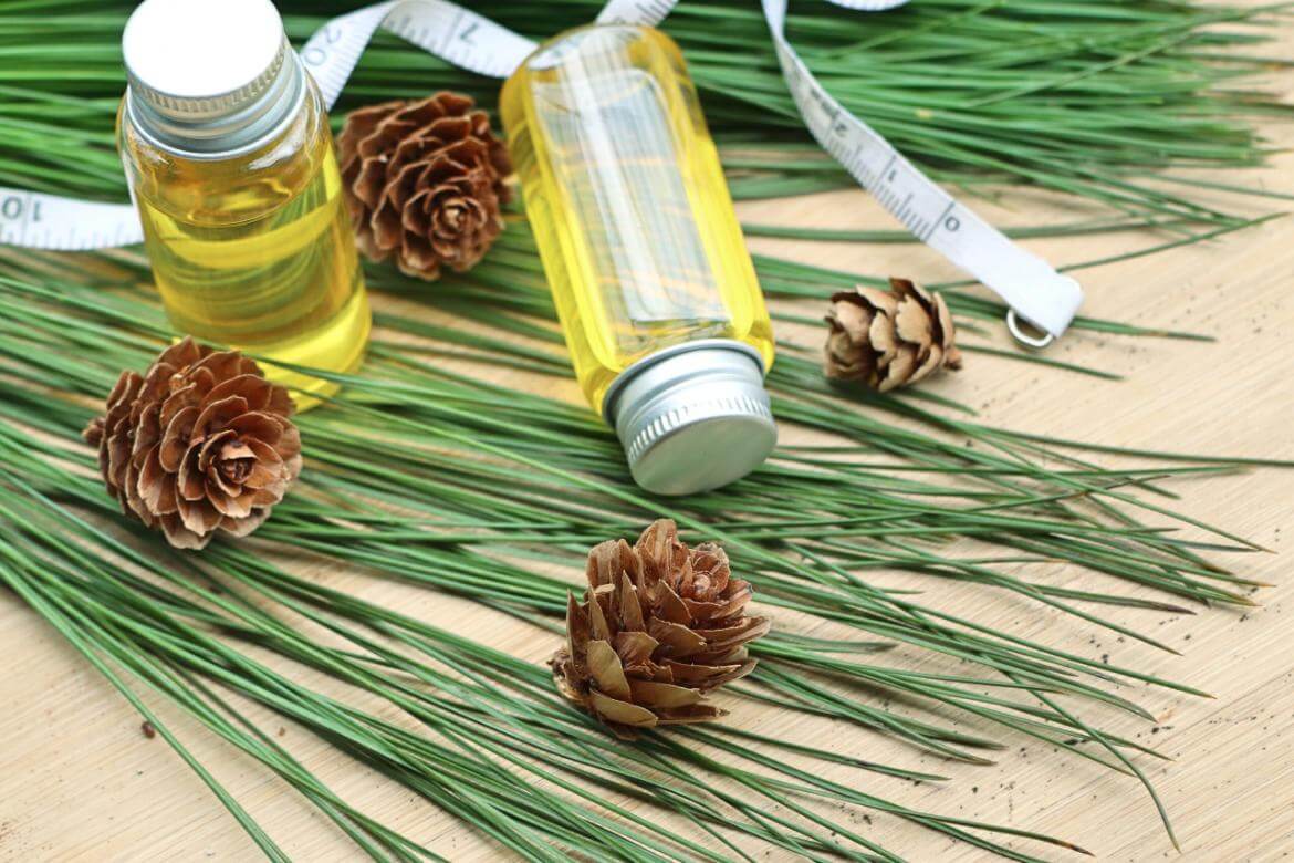 What is Pine Turpentine Oil and What are its Benefits?