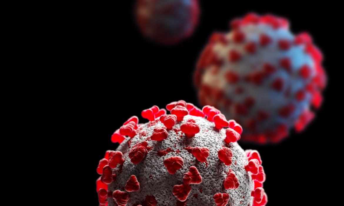 Dengue Virus (Fever)