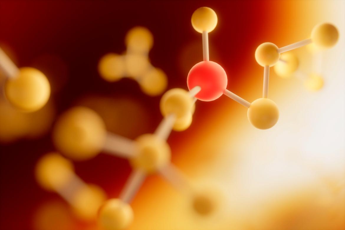 Gamma Glutamyl Transferase (GGT) Test Low and High