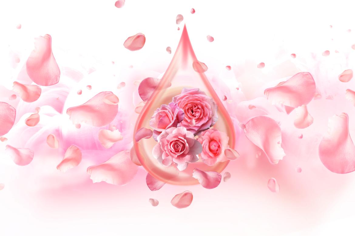 Benefits and Uses of Rose Water