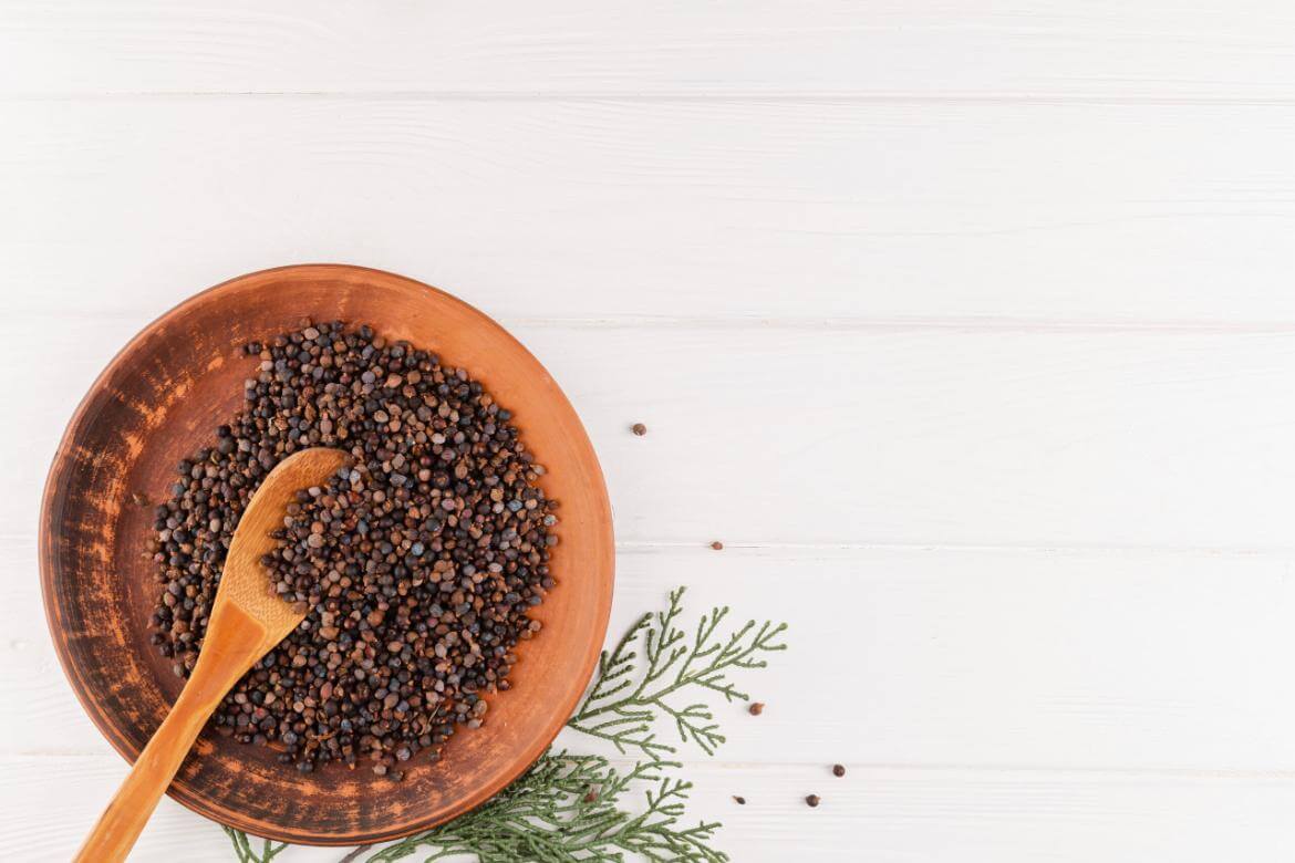 What is Chaste Tree Seed? What are its Benefits and Uses?