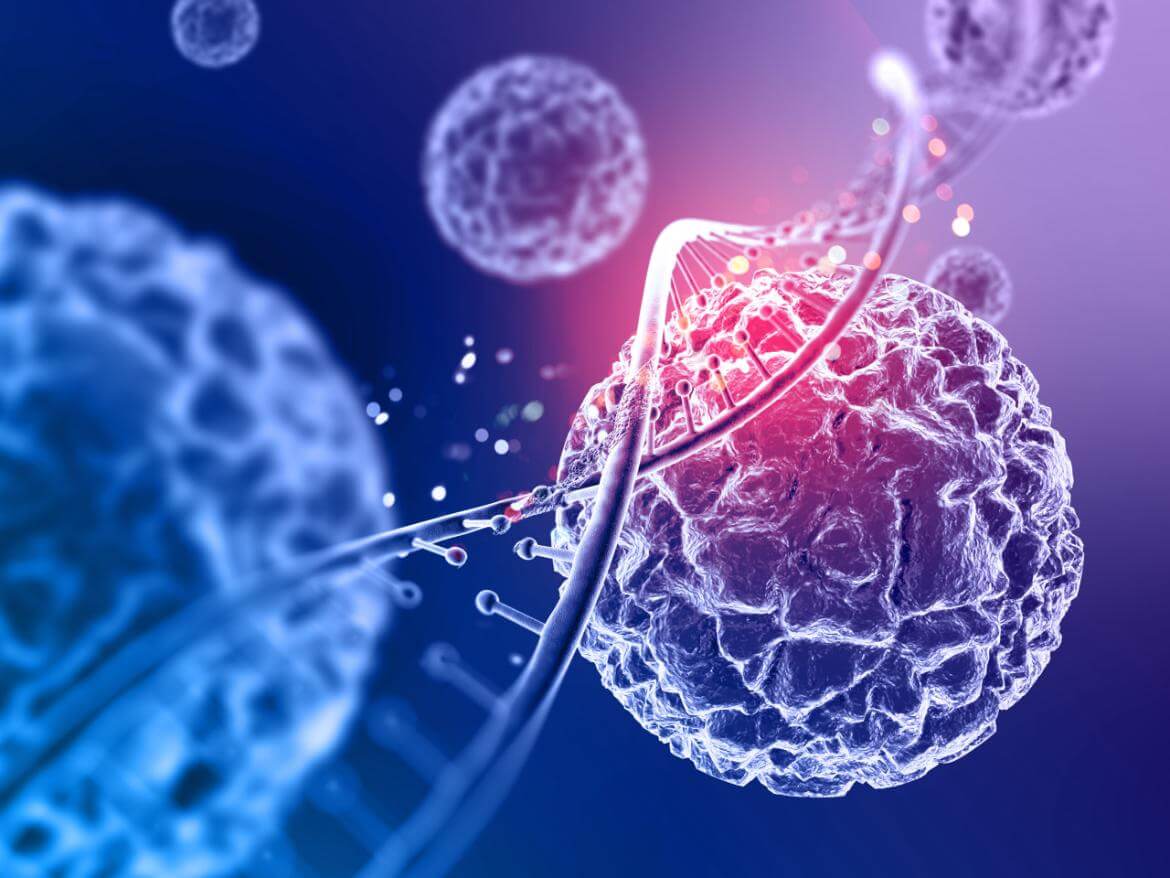 What is a Hormone? What Do Hormones Do?