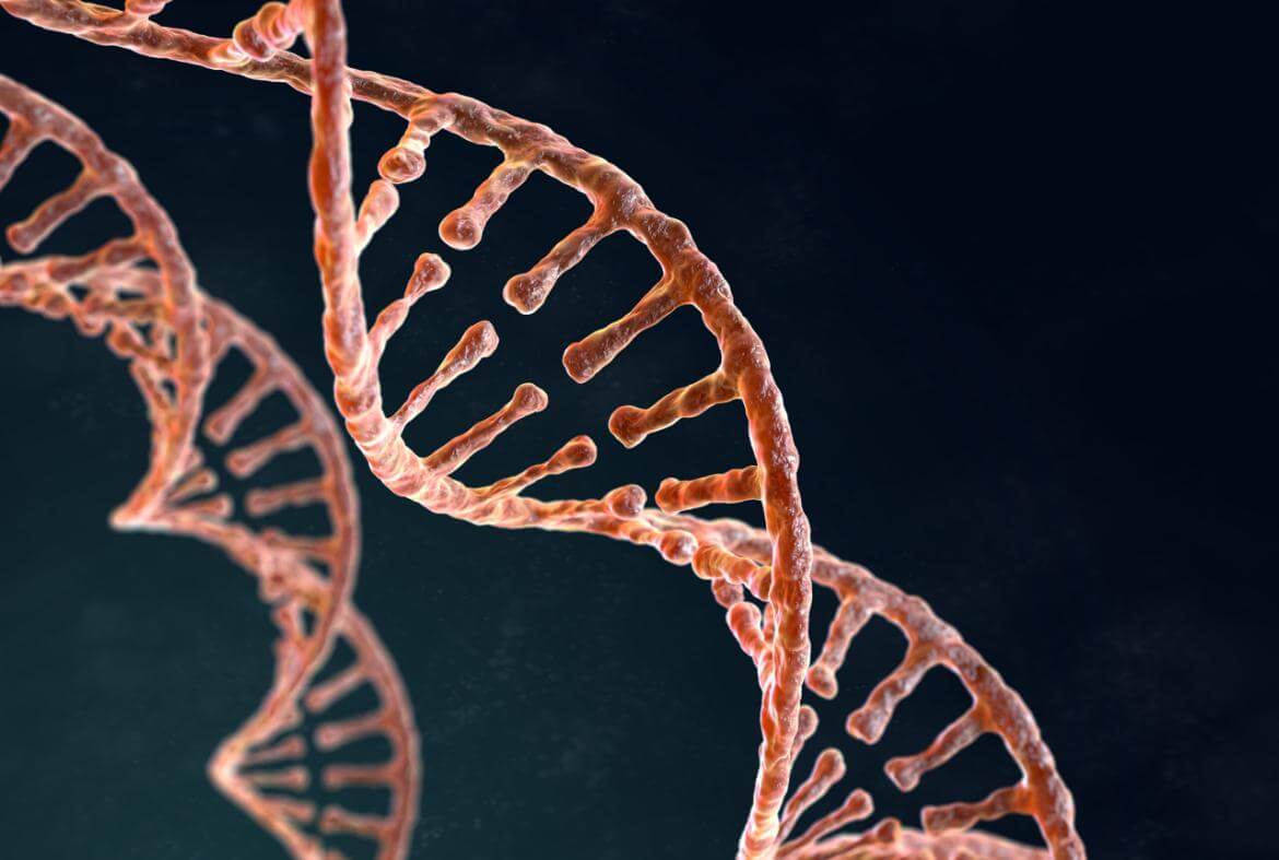 Huntington's Disease