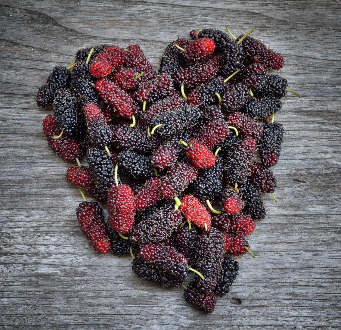 Benefits of Mulberry Extract