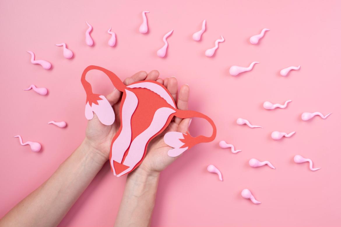 What is Abortion? How is it Performed?