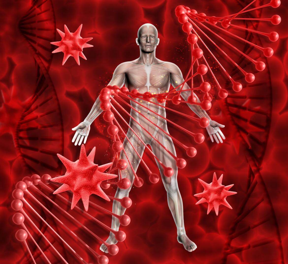 Leptin Hormone