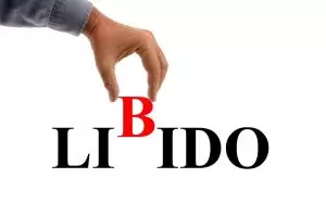What is Libido? Causes and Treatment of High and Low Libido?