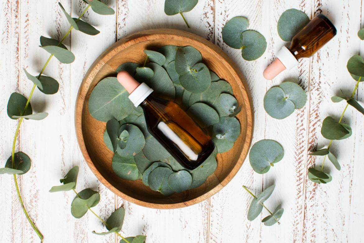 What is Eucalyptus? Benefits of Eucalyptus Oil