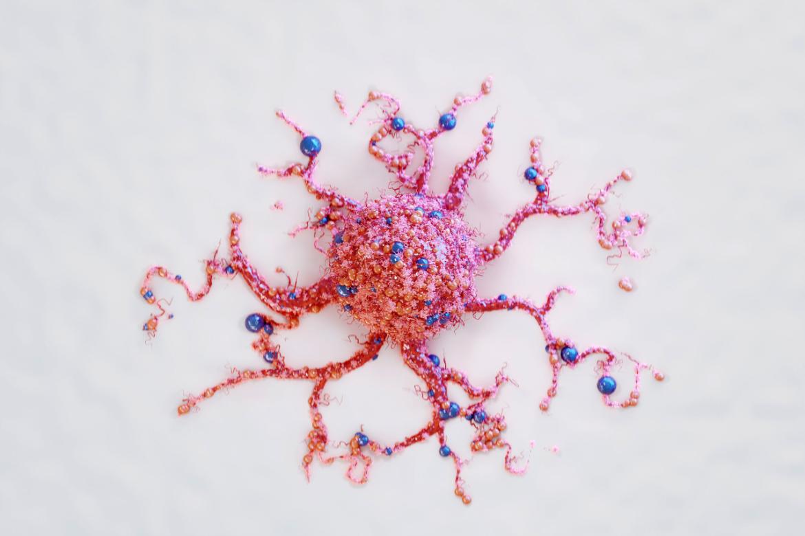 What is the Oxytocin Hormone and What Does It Do?