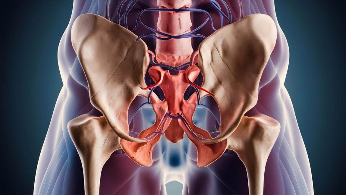 Pelvis, the Cause of Your Pelvic Pain