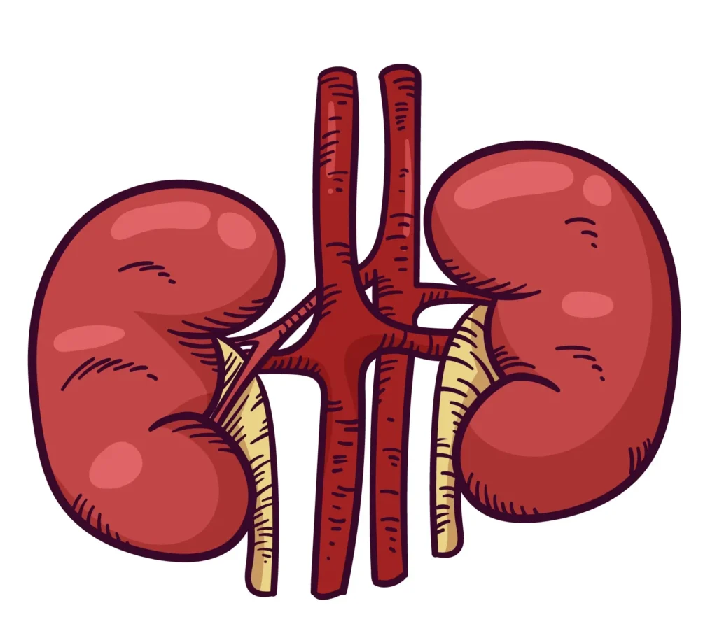 What is Polycystic Kidney Disease?