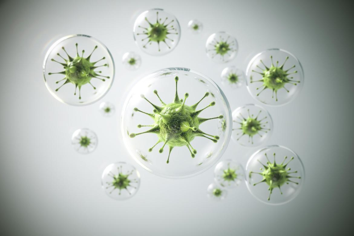 Salmonella Disease
