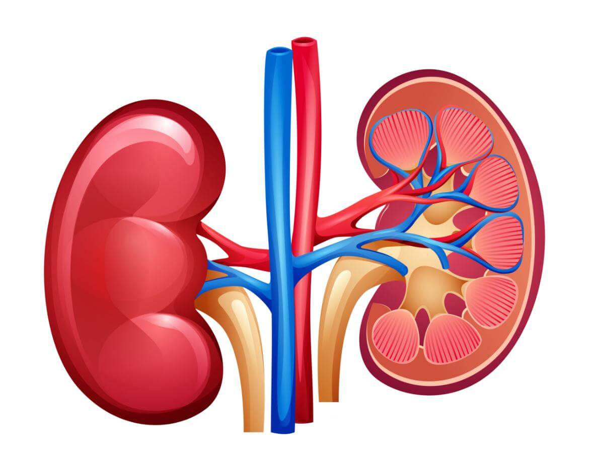 Ureteral Stone Surgery