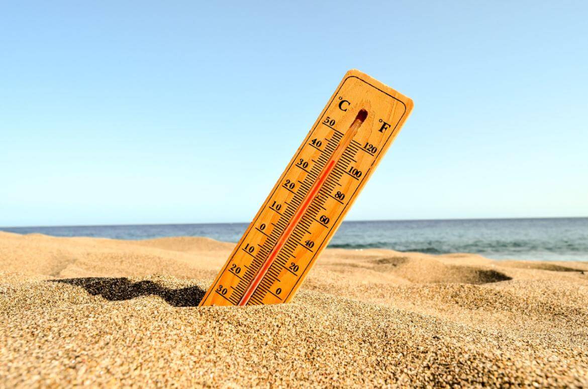 What Should You Do to Stay Healthy in the Summer Heat?