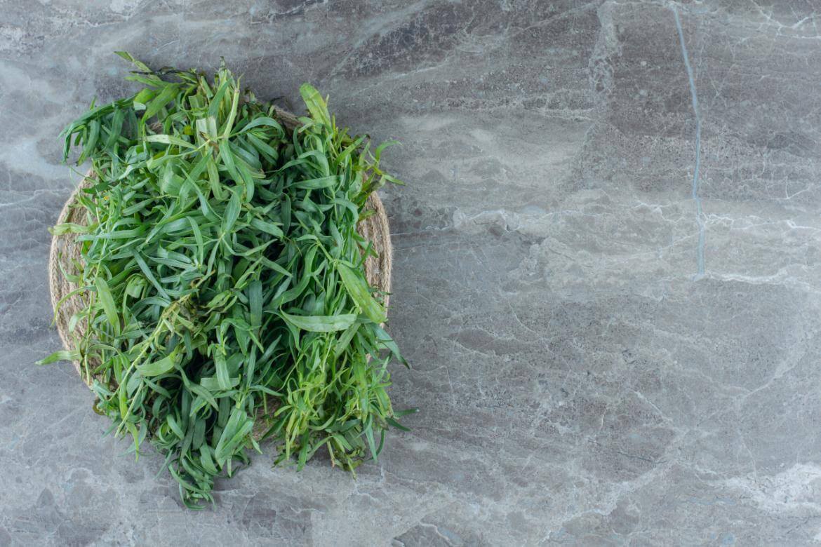 Zahter: Benefits, Uses and Health Effects