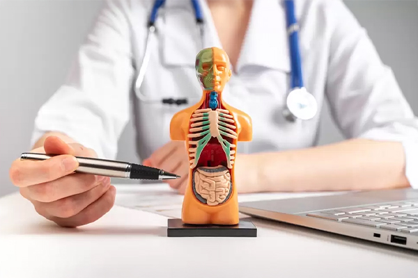 İç Hastalıkları (Dahiliye)