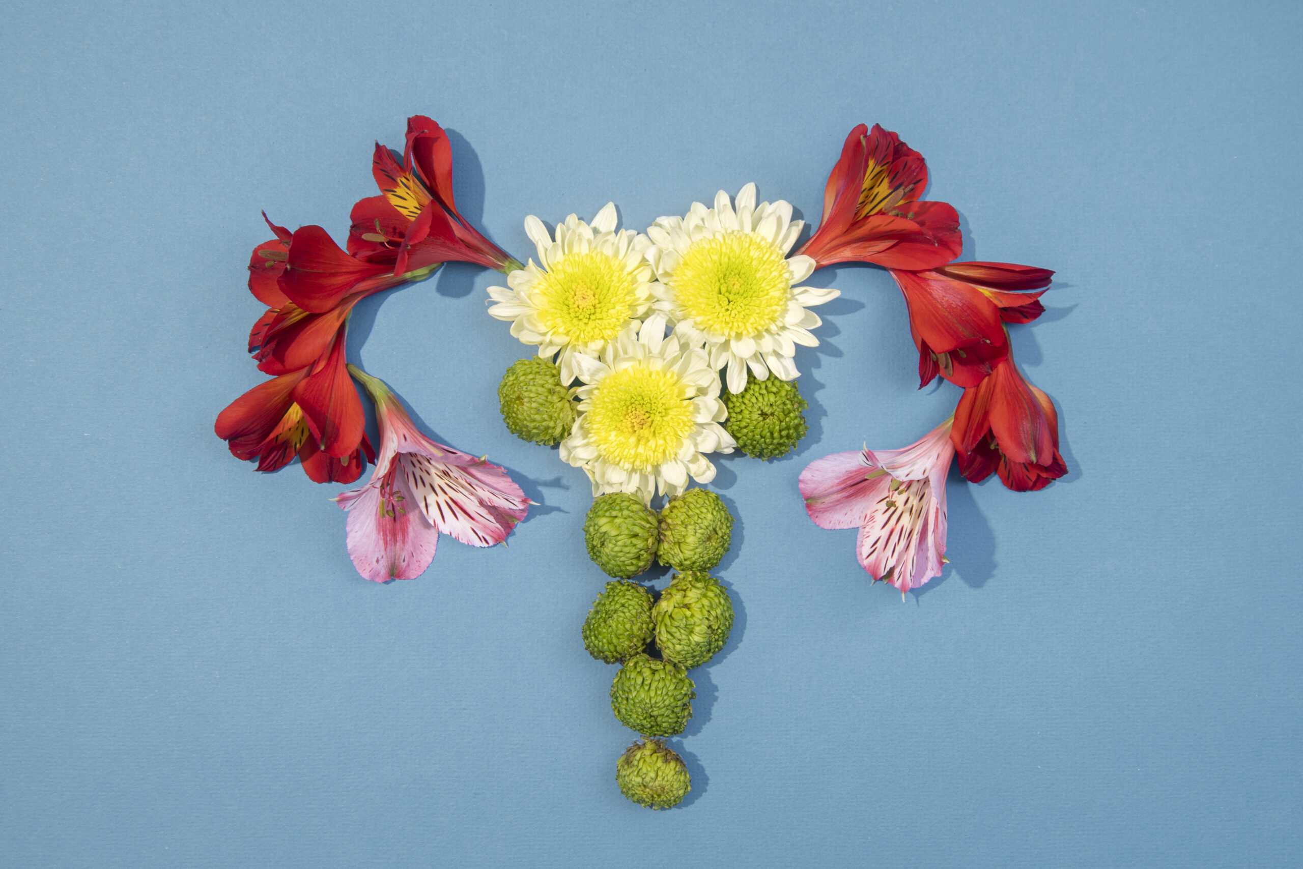 Kızlık Zarı (Hymen) Nedir?