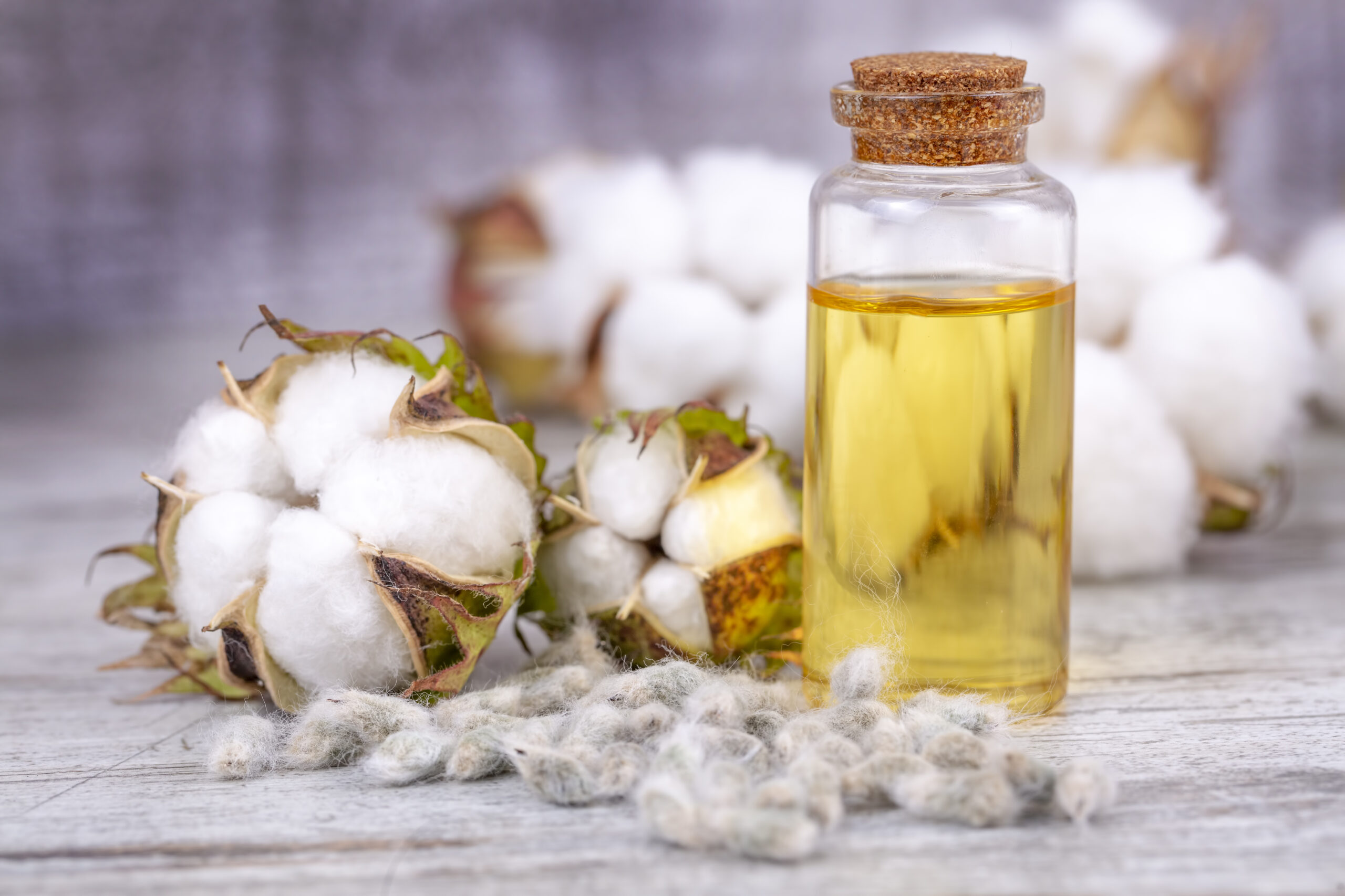 Pamuk Yağı Nedir? Kullanım Alanları ve Faydaları