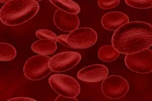 Hemofili Nedir? Belirtileri ve Tedavi yöntemleri Nelerdir?